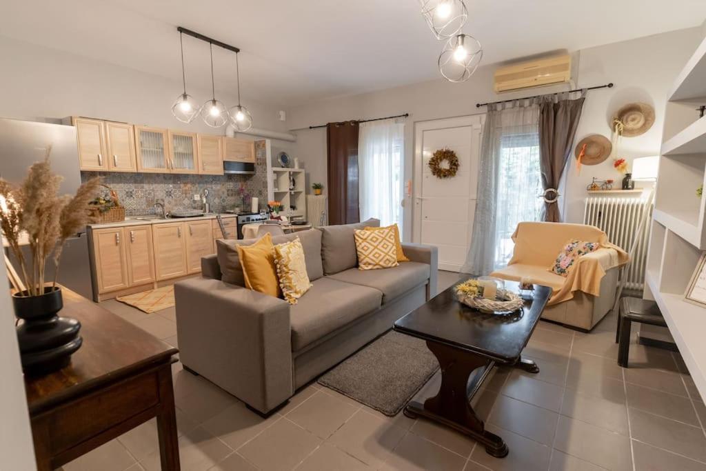 Elenis Cozy Apartment Λάρισα Εξωτερικό φωτογραφία